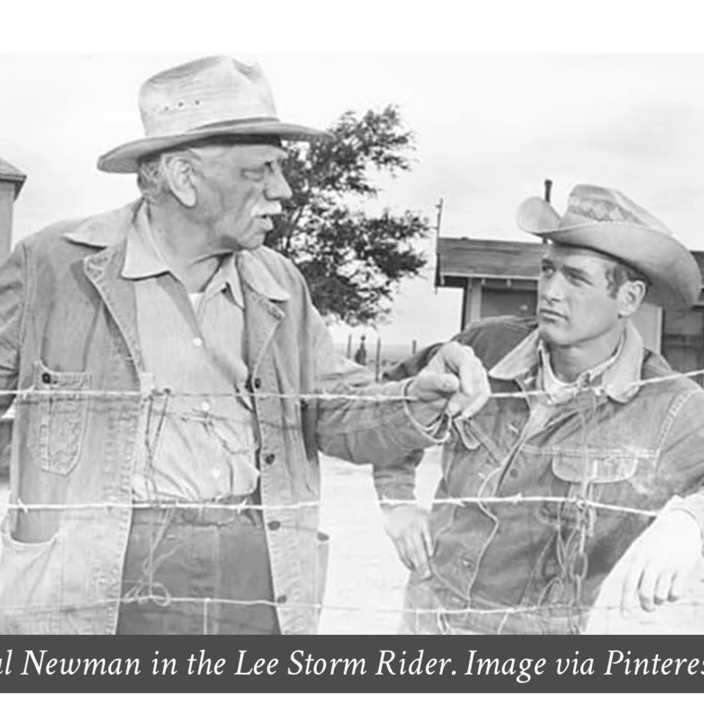 Original Lee Storm Rider Denim Jacket - Picture 4 of 8